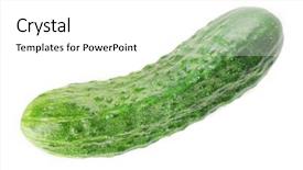  Presentation with ripe golden potato on white - PPT layouts having ripe cucumber isolated on white background and a white colored foreground