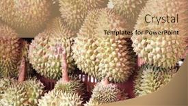  Presentation with durian - Beautiful theme featuring ripe-durian-fruits backdrop and a coral colored foreground