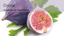  Presentation with leaves - Colorful presentation design enhanced with ripe fig fruits with fig backdrop and a coral colored foreground