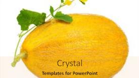  Presentation with melon - Cool new theme with fresh and delicious melon isolated backdrop and a gold colored foreground
