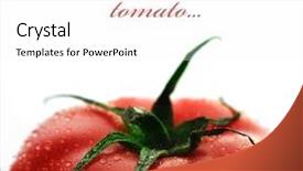  Presentation with tomato - Slides featuring ripe fresh tomato border closeup background and a white colored foreground