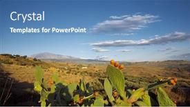  Presentation with fruits - Colorful slides enhanced with ripe-fruits-of-prickly-pears backdrop and a teal colored foreground