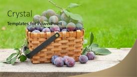  Presentation with medical spa massage outdoor balinese - Presentation theme enhanced with ripe-garden-plums-in-basket background and a yellow colored foreground