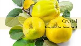  Presentation with golden yellow - Amazing PPT theme having ripe-golden-yellow-quince-fruits backdrop and a yellow colored foreground