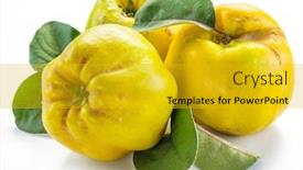  Presentation with golden yellow - Beautiful theme featuring ripe-golden-yellow-quince-fruits backdrop and a gold colored foreground