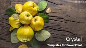  Presentation with golden yellow - Audience pleasing presentation design consisting of ripe-golden-yellow-quince-fruits backdrop and a dark gray colored foreground
