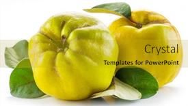  Presentation with golden yellow - Presentation theme with ripe-golden-yellow-quince-fruits background and a gold colored foreground