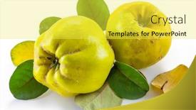  Presentation with golden yellow - Amazing presentation design having ripe-golden-yellow-quince-fruits backdrop and a yellow colored foreground