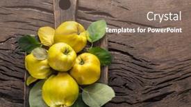  Presentation with golden yellow - PPT theme having ripe-golden-yellow-quince-fruits background and a coral colored foreground