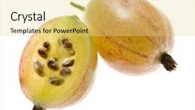  Presentation with gooseberry - PPT theme with ripe gooseberry close up isolated background and a blonde colored foreground