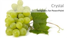  Presentation with grape - Audience pleasing PPT theme consisting of ripe grape whith leaf isolated backdrop and a white colored foreground
