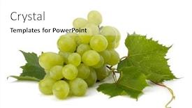 Presentation with grape - Slide set having ripe grape whith leaf isolated on white background background and a white colored foreground