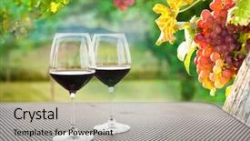  Presentation with vine wine - Presentation with ripe grapes on the vine background and a light gray colored foreground