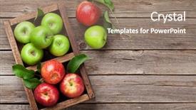  Presentation with green apple - PPT theme having ripe green and red apples background and a coral colored foreground