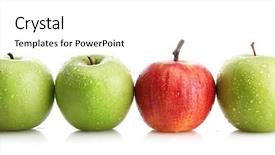  Presentation with green apple - Cool new slide deck with ripe green apples and one backdrop and a white colored foreground