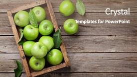  Presentation with text box - Cool new PPT layouts with ripe green apples box backdrop and a coral colored foreground