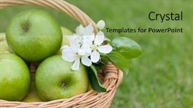  Presentation with green apples - PPT theme with arrival of winter the leaves are green under the snow photo for your design background and a tawny brown colored foreground.