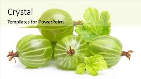  Presentation with gooseberry - Theme having ripe green gooseberry with leaf background and a blonde colored foreground
