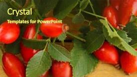  Presentation with hip - Slides with ripe hip roses on branch with leaves on wooden background background and a tawny brown colored foreground