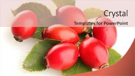  Presentation with green leaves - PPT theme featuring ripe-hip-roses-on-green background and a lemonade colored foreground