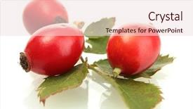  Presentation with green leaves - Presentation theme enhanced with ripe hip roses on green background and a lemonade colored foreground