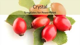  Presentation with tea leaves fresh green leaf - Theme enhanced with ripe hip roses on green background and a yellow colored foreground