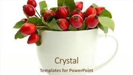  Presentation with hip - Beautiful presentation theme featuring ripe hip roses with leaves backdrop and a  colored foreground