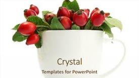  Presentation with hip - Colorful theme enhanced with ripe hip roses with leaves backdrop and a cream colored foreground