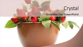  Presentation with hip - Presentation having ripe hip roses with leaves background and a  colored foreground