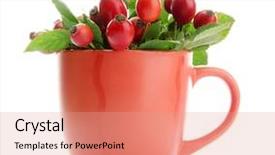  Presentation with red roses rose garden - Slide deck with ripe hip roses with leaves background and a coral colored foreground