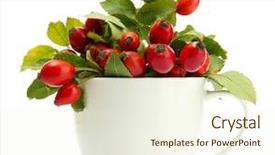  Presentation with red roses rose garden - Presentation design enhanced with ripe hip roses with leaves background and a cream colored foreground