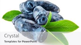  Presentation with berries - Slide set featuring ripe-honeysuckle-berries-with-leaves background and a white colored foreground