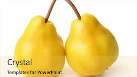  Presentation with guava fruits fresh green fruit - Audience pleasing PPT layouts consisting of ripe japanese quince fruits isolated backdrop and a yellow colored foreground