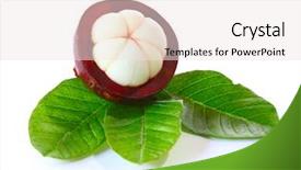  Presentation with mangosteen - Presentation design consisting of ripe juicy mangosteen with green background and a white colored foreground