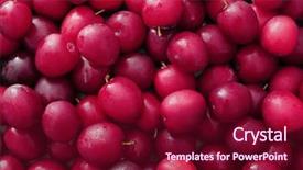  Presentation with harvest is ripe - Amazing presentation theme having ripe juicy plums as background backdrop and a violet colored foreground