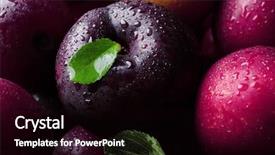  Presentation with harvest is ripe - PPT layouts enhanced with ripe juicy plums as background background and a black colored foreground