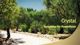  Presentation with lemons - Cool new slide set with lemons hanging on a tree backdrop and a tawny brown colored foreground