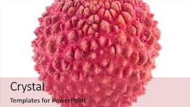  Presentation with juice - PPT theme having ripe lychee isolated on white background and a red colored foreground
