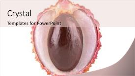  Presentation with ripe golden potato on white - Beautiful PPT theme featuring ripe lychee isolated on white backdrop and a  colored foreground