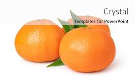  Presentation with ripe golden potato on white - Cool new presentation theme with ripe-mandarines-isolated-on-white backdrop and a white colored foreground