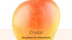  Presentation with mango - Amazing PPT theme having ripe mango isolated on white background backdrop and a light gray colored foreground