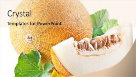  Presentation with melon - Amazing theme having ripe melon and melon slice backdrop and a lemonade colored foreground