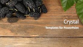  Presentation with green leaves - Slide set consisting of ripe mulberries with green leaves background and a  colored foreground