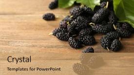  Presentation with green leaves - Presentation design consisting of ripe mulberries with green leaves background and a coral colored foreground