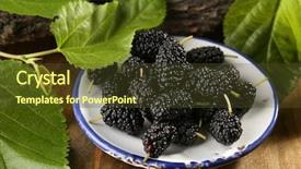  Presentation with green leaves - Presentation theme enhanced with ripe mulberries with green leaves background and a  colored foreground