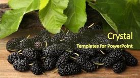  Presentation with green leaves - Presentation design consisting of ripe mulberries with green leaves background and a  colored foreground