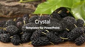  Presentation with chemistry leaves green leaf - Audience pleasing PPT theme consisting of ripe mulberries with green leaves backdrop and a  colored foreground