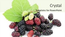 Presentation with white mulberry - Cool new presentation design with ripe mulberry berries with leaves backdrop and a soft green colored foreground