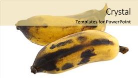  Presentation with banana - PPT theme consisting of ripe nam wah bananas isolated background and a blonde colored foreground