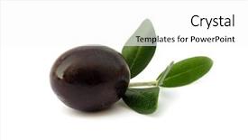 Presentation with olive - Beautiful theme featuring ripe olive with leaves backdrop and a white colored foreground